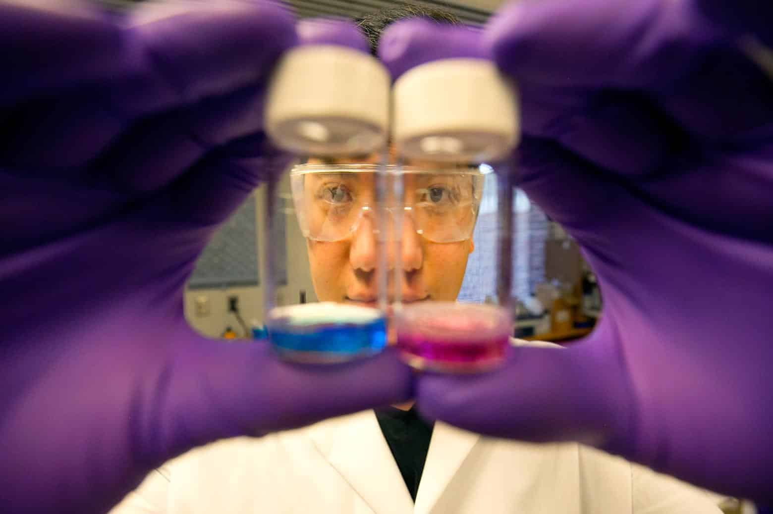 researcher peering through small beakers