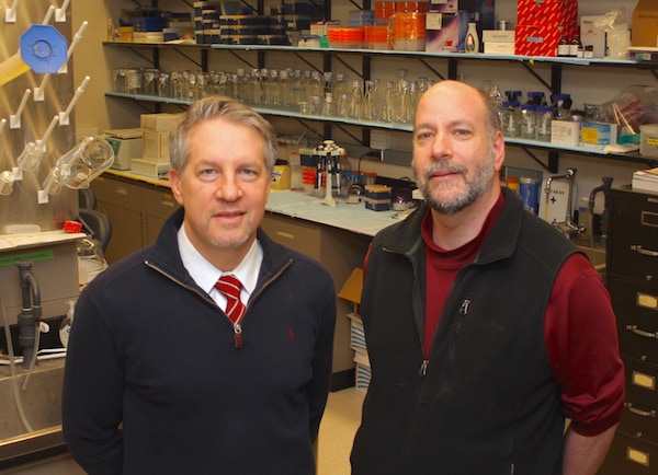 Two researchers standing in a lab