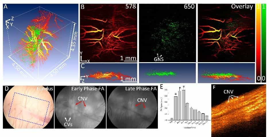 IMages in support of two NIH grants